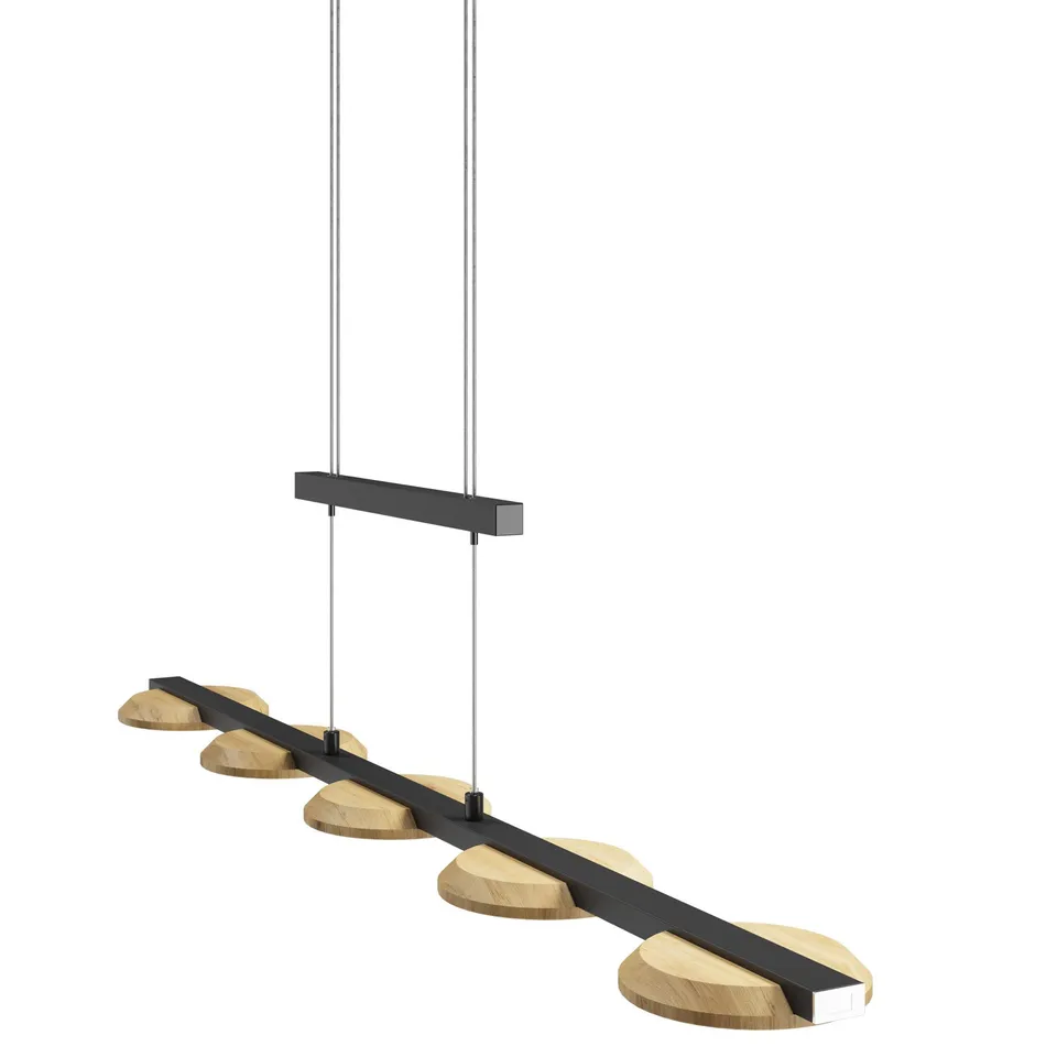 Elobra Living Pendelleuchte Argentina Motion S Wohnlicht