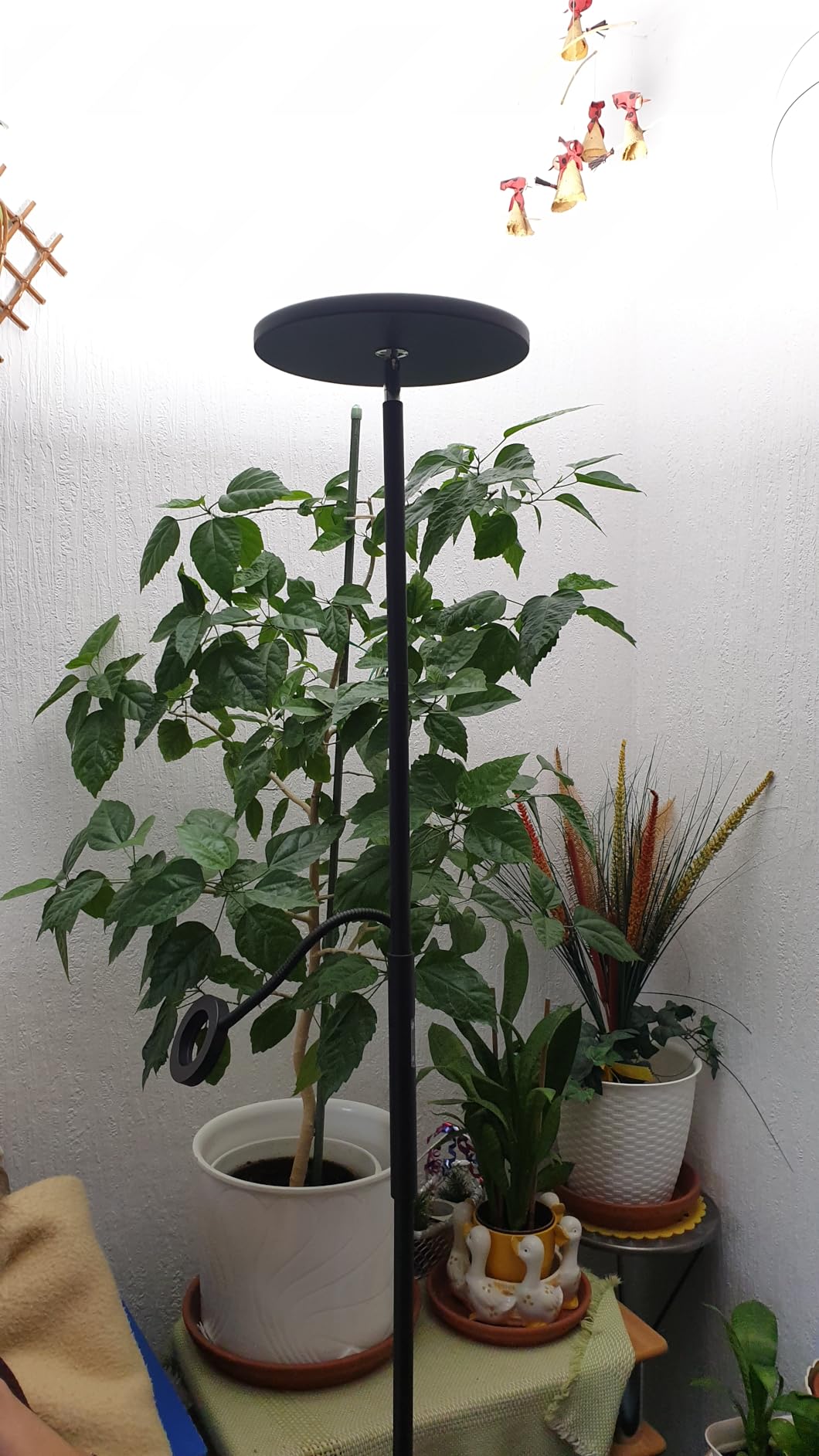Modlicht Stehlampe LED 35W Silber dimmbar mit Leselampe