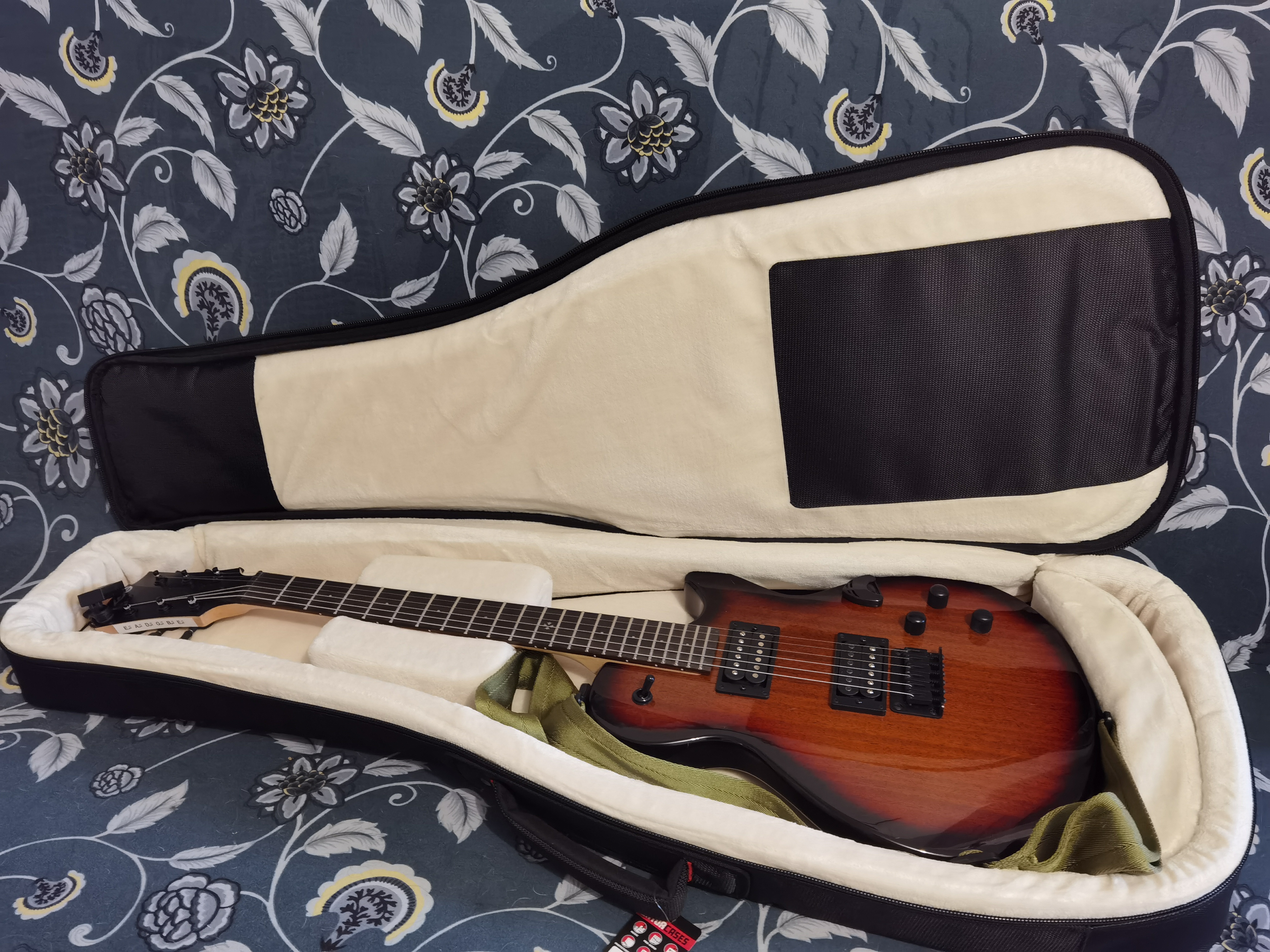Gator ProGo G-PG Gitarrentasche Akustikgitarre gepolstert