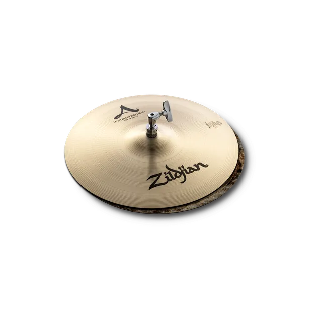 Zildjian A Family 14" Mastersound HiHat Becken Paar hell