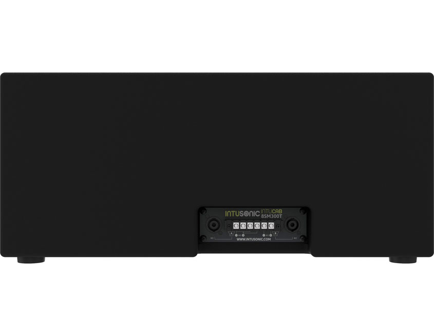 Intusonic INTUCAB 8SM300T Subwoofer dual 8 Zoll passiv