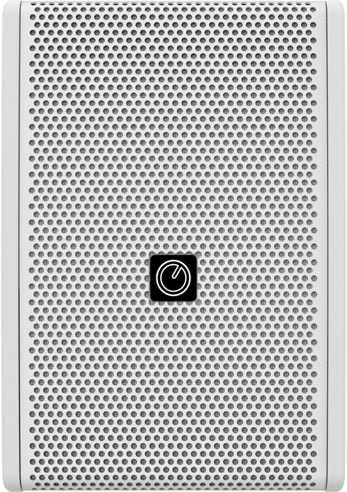 INTUSONIC INTUCAB 6FP100T Lautsprecher passiv schwarz 100V