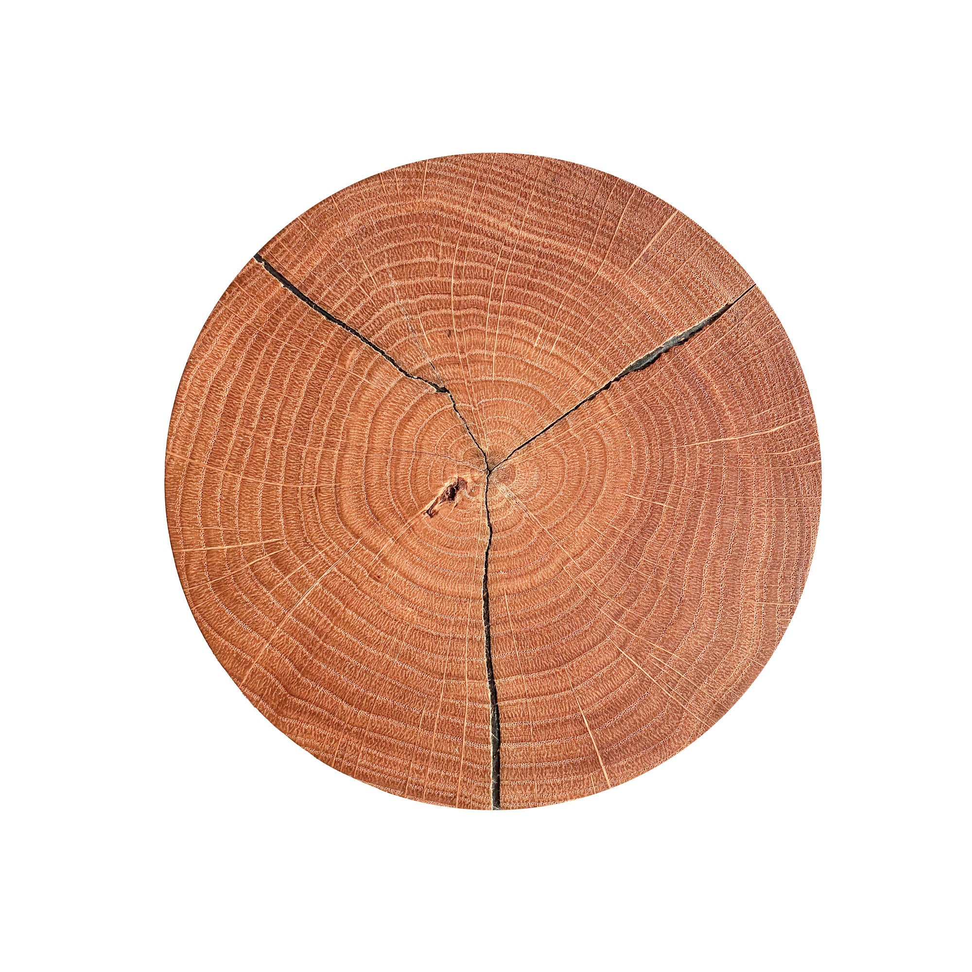 Elobra Havana S Wandleuchte Wandlampe round Living
