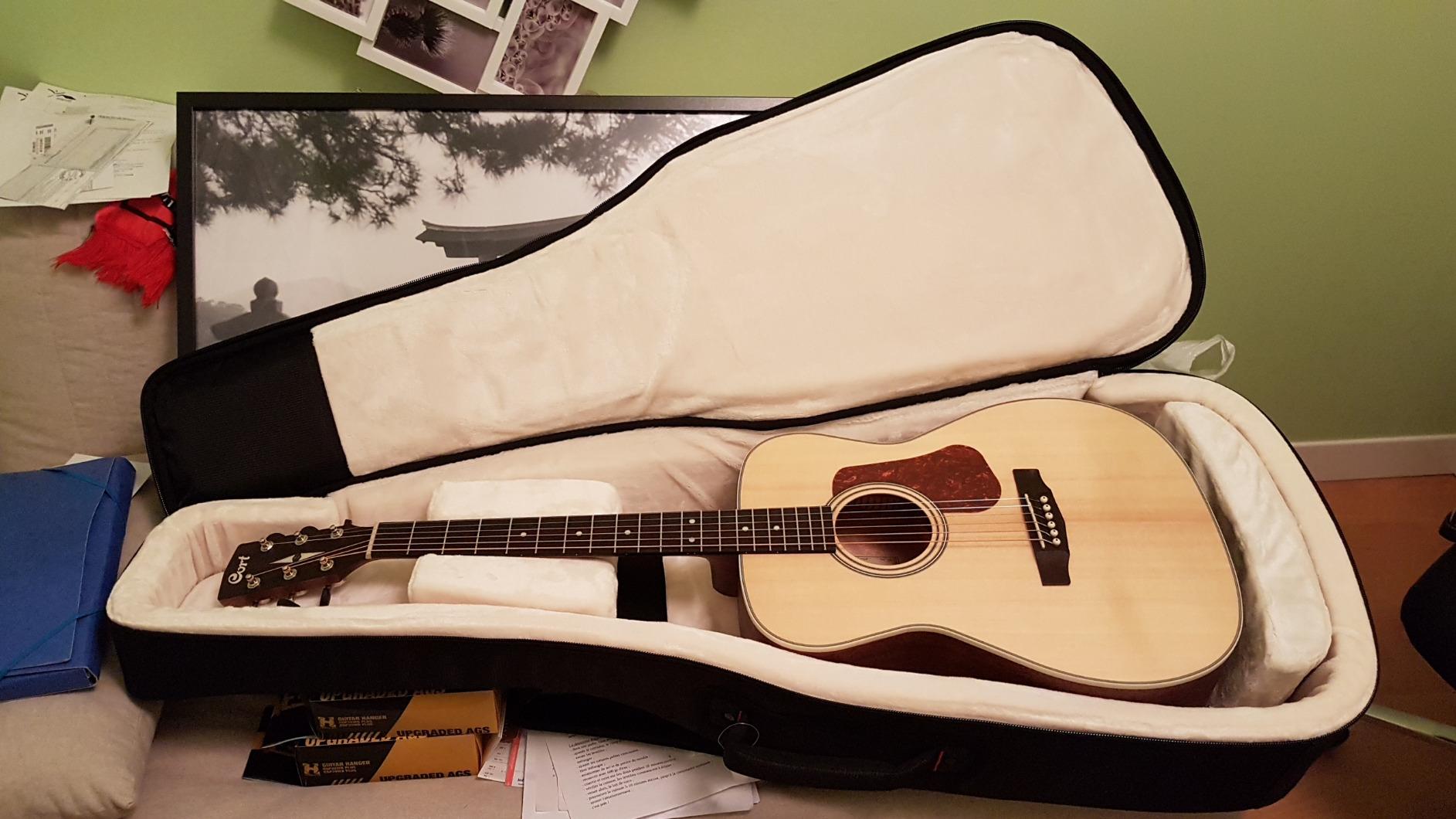 Gator ProGo G-PG Gitarrentasche Akustikgitarre gepolstert