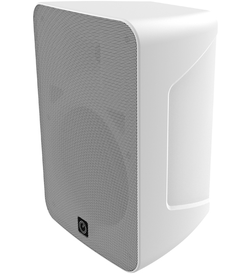 INTUSONIC INTUSCAPE 6FP80R Lautsprecher Outdoor 100V